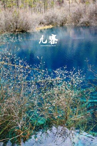 闻“雪”而动防冰害 社阳铁军筑防线